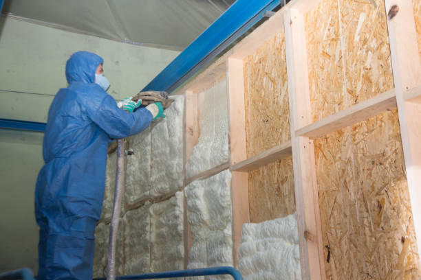 Best Residential Insulation Services  in Reidsville, GA
